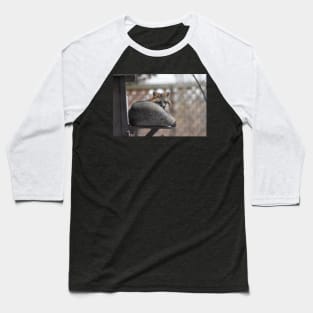 Grey Fox Baseball T-Shirt